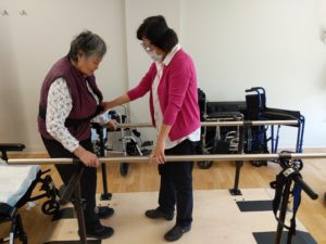 Physiotherapist Exercising With Senior